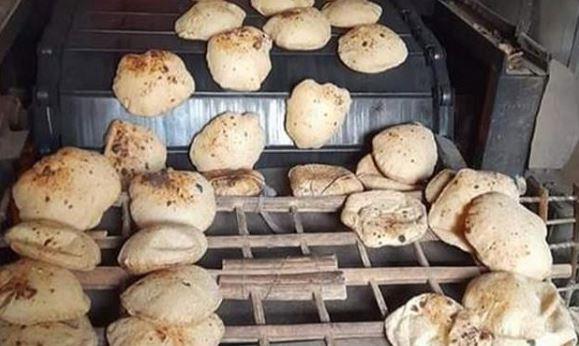 تحرير 751 محضرا لأصحاب المخابز والمحال التجارية بالشرقية