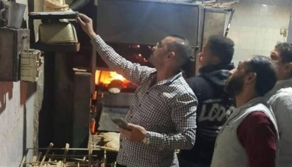 تموين الإسكندرية: تحرير 263 محضرا لمخالفات متنوعة