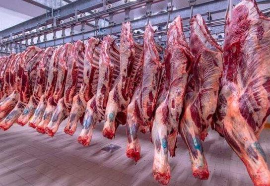 ارتفاع طفيف في أسعار اللحوم اليوم