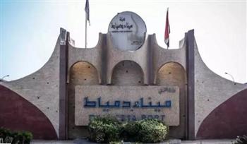   ميناء دمياط يتداول 23 سفينة حاويات وبضائع عامة خلال 24 ساعة
