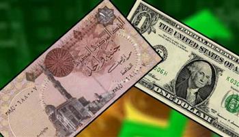   الدولار يواصل التراجع أمام الجنيه في مصر