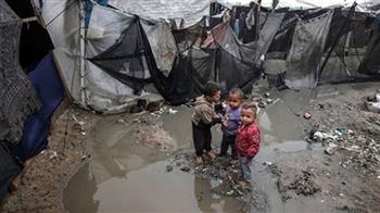   "أوتشا": أكثر من مليون شخص في غزة بحاجة ماسة إلى مساعدات الإيواء