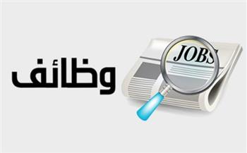   الحكومة تعلن عن فرص عمل براتب 20 ألف جنيه.. التفاصيل