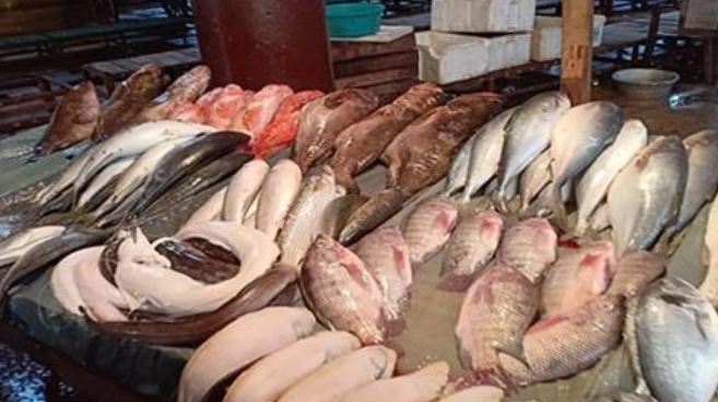 من البلطي للجمبري.. أسعار الأسماك اليوم