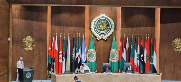 المالكى: القضايا البيئية والمناخية أصبحت في صدارة أولويات العمل العربي المشترك