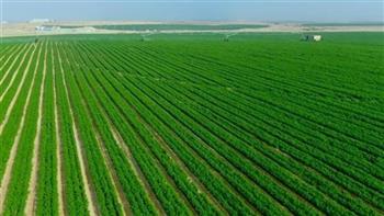   جهاز مستقبل مصر: 28 محطة رفع و1780 طلمبة لتوصيل المياه إلى الدلتا الجديدة 