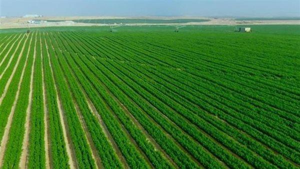 جهاز مستقبل مصر: 28 محطة رفع و1780 طلمبة لتوصيل المياه إلى الدلتا الجديدة