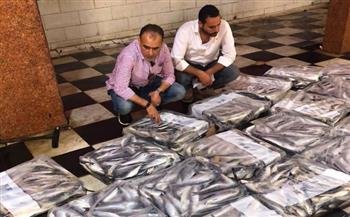   ضبط 5 أطنان مسحوق غسيل و1.15 طن أسماك مشتبه في صلاحيتها بكفر الشيخ