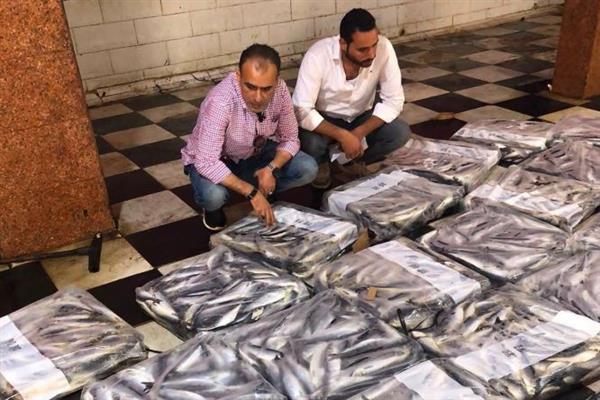 ضبط 5 أطنان مسحوق غسيل و1.15 طن أسماك مشتبه في صلاحيتها بكفر الشيخ