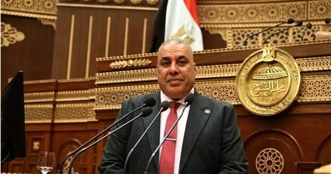 أبو النصر: الجولة الآسيوية للرئيس السيسي تفتح مسارات جديدة للتعاون الاقتصادي والاستثماري