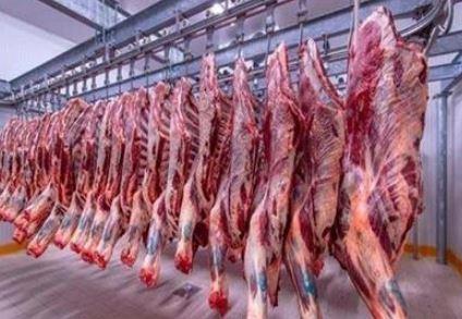 أسعار اللحوم في الأسواق اليوم.. تعرف على سعر الكيلو