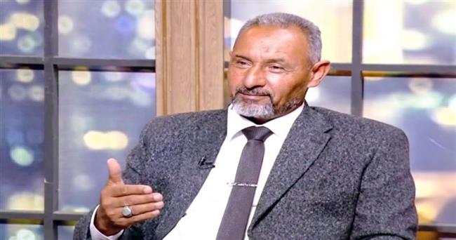 مسعود علام: جولة الرئيس السيسي الآسيوية تعزز مكانة مصر مركزًا إقليميًا للاستثمار والإنتاج