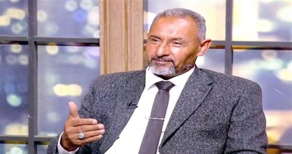 مسعود علام: جولة الرئيس السيسي الآسيوية تعزز مكانة مصر مركزًا إقليميًا للاستثمار والإنتاج