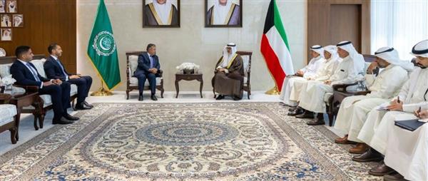نبيل فهمي يطرح رؤيته لتطوير جامعة الدول العربية وتفعيل دورها