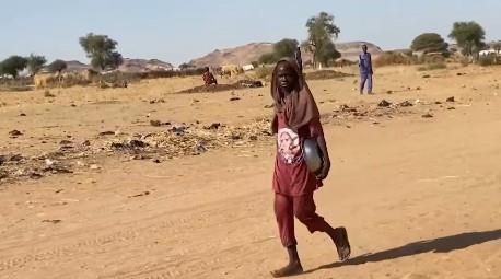 "القاهرة الإخبارية": الأوضاع الإنسانية كارثية في دارفور وتصاعد موجات النزوح بالسودان
