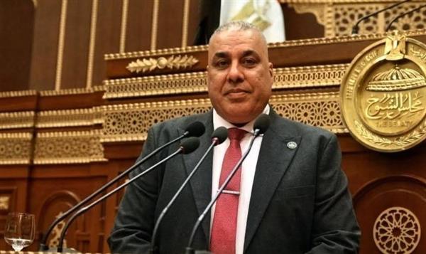 أبو النصر: منتدى مصر 2026 منصة وطنية مهمة للحوار