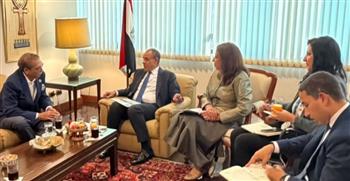   وزير الخارجية يلتقي رئيس إحدى كبرى شركات البتروكيماويات التايلاندية في مصر