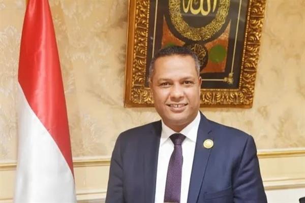 النائب محمد حمزة: أمن السعودية جزء لا يتجزأ من الأمن القومي المصري