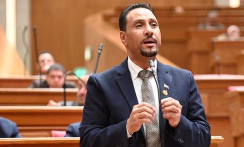 النائب جرجس لاوندي: الحفاظ على الوعي الوطني ضرورة لحماية استقرار مصر