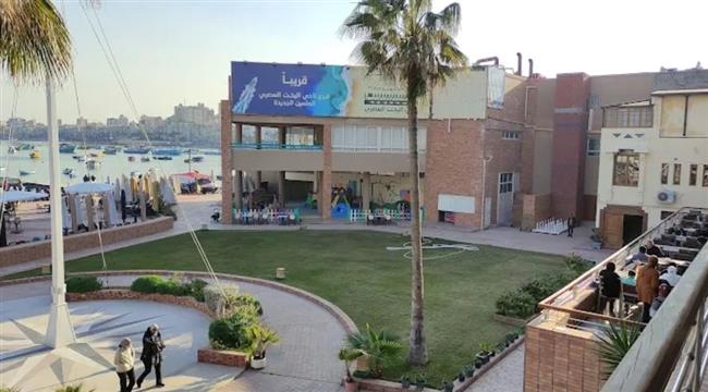 انتخابات نادي اليخت المصري.. منافسة هادئة بعيدًا عن صخب الدعاية و«الأوفر»