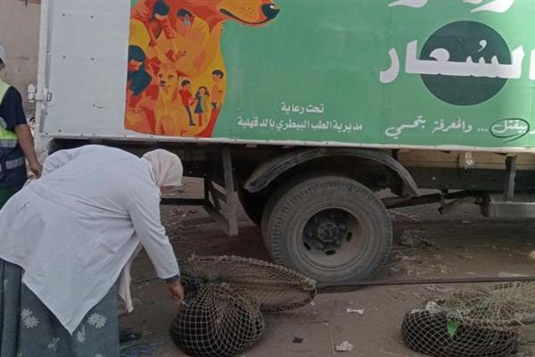 استجابة لشكاوى الأهالي.. الدقهلية تكثف حملات مواجهة الكلاب الضالة