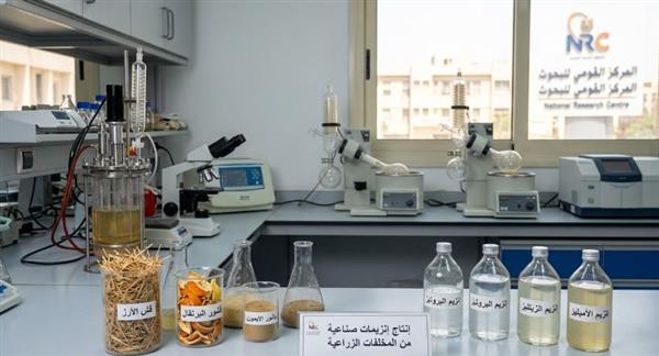 من قش الأرز وقشور البرتقال إلى إنزيمات صناعية.. قومي البحوث يستهدف خفض فاتورة الاستيراد