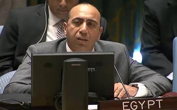   مصر تدين أمام مجلس الأمن الممارسات إسرائيلية التى تستهدف تصفية القضية الفلسطينية