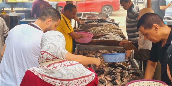 محافظ الدقهلية يتابع معرض السلع الغذائية بتخفيضات تتجاوز 20%