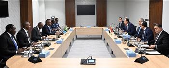   رئيس الوزراء يلتقي نائب رئيس جمهورية تنزانيا المتحدة بالعلمين الجديدة