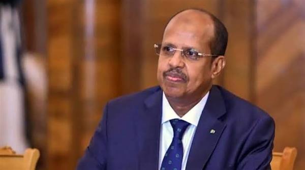رئيس مفوضية الاتحاد الإفريقي: نجاح التكامل الإقليمي مشروط بالتوافق الاقتصادي بين دول القارة
