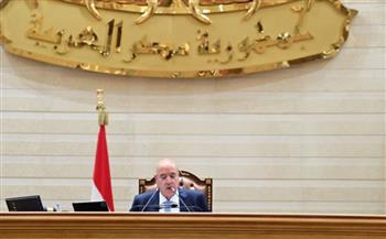   رئيس "النواب" يعلن تشكيل اللجان النوعية.. شكري لـ"خارجية النواب" ورضوان لـ"حقوق الإنسان"