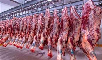 أسعار اللحوم اليوم.. تعرف على سعر الكندوز والضأن 