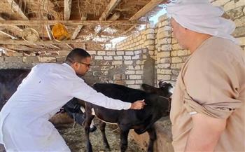   الطب البيطري بالإسماعيلية يواصل جهوده للحفاظ على الثروة الحيوانية