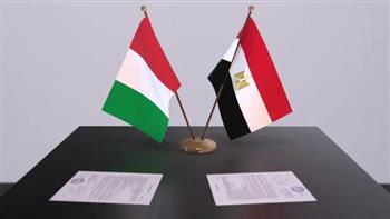   جولة مشاورات سياسية بين مصر وإيطاليا حول ليبيا 