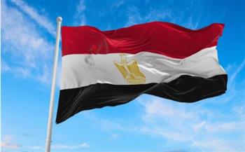   مصر تدين الاعتداءات على الأراضي السعودية وتؤكد تضامنها الكامل مع المملكة