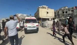 مدير جمعية الإغاثة الطبية الفلسطينية: 4 أمراض تهدد سكان غزة
