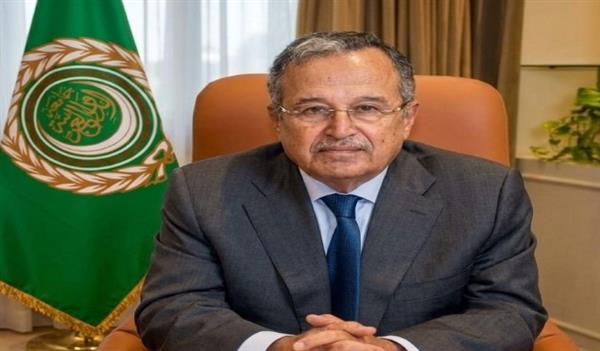 نبيل فهمي يبحث مع وزير خارجية السعودية التطورات الإقليمية ويؤكد دعم جامعة الدول للمملكة