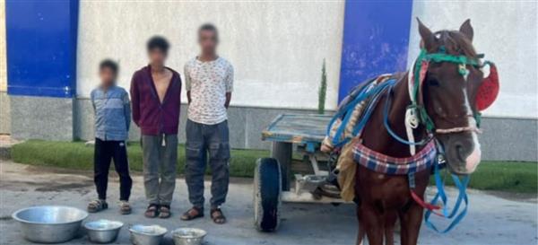 ضبط 3 أشخاص بعد تداول فيديو لسرقة منزل في شمال سيناء