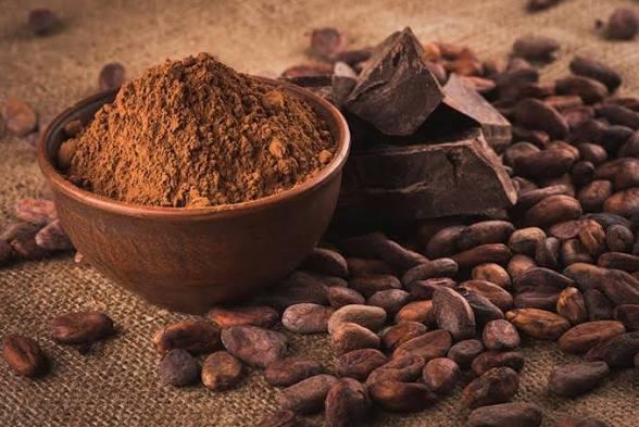 الكاكاو الخام.. مشروب غني بمضادات الأكسدة يدعم صحة القلب والدماغ