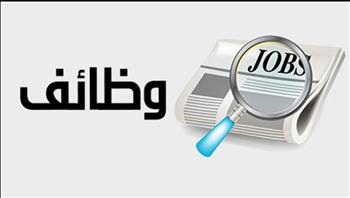   2539 فرصة عمل جديدة بوزارة العمل في 11 محافظة.. تعرف على أماكن الوظائف وطرق التقديم