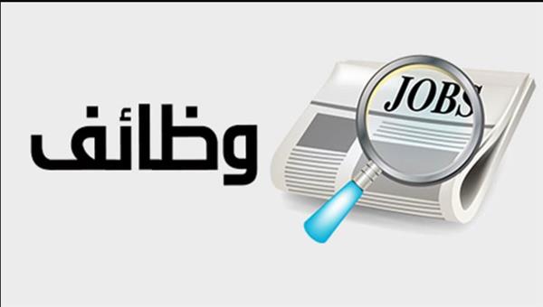 2539 فرصة عمل جديدة بوزارة العمل في 11 محافظة.. تعرف على أماكن الوظائف وطرق التقديم