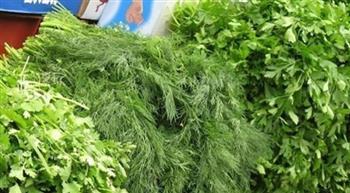 خضرة المحشي.. كنز غذائي مهمل وفوائد صحية قد لا يعرفها كثيرون