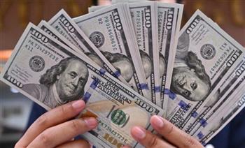 استقرار ملحوظ في سعر الدولار وسط متابعة لحركة التداول