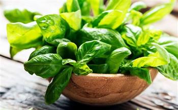   10 فوائد مذهلة للريحان على الصحة العامة