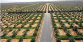 "الزراعة": الوزارة تستثمر البحث العلمي لاستصلاح الصحراء وتطوير المحاصيل الصحراوية
