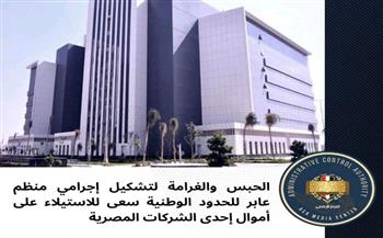   حبس تشكيل عصابي منظم عابر للحدود سعى للاستيلاء على أموال إحدى الشركات المصرية