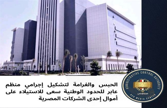 حبس تشكيل عصابي منظم عابر للحدود سعى للاستيلاء على أموال إحدى الشركات المصرية
