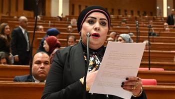   جيهان شاهين: حزمة الحماية الاجتماعية انحياز واضح للمواطن قبل رمضان