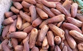 البلح الناشف… هل وجود الدود حقيقة أم مبالغة؟