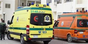   العثور على "جوال الأجنّة" يُربك أهالي كدوان بالمنيا وتحريات مكثفة لكشف المتورطين